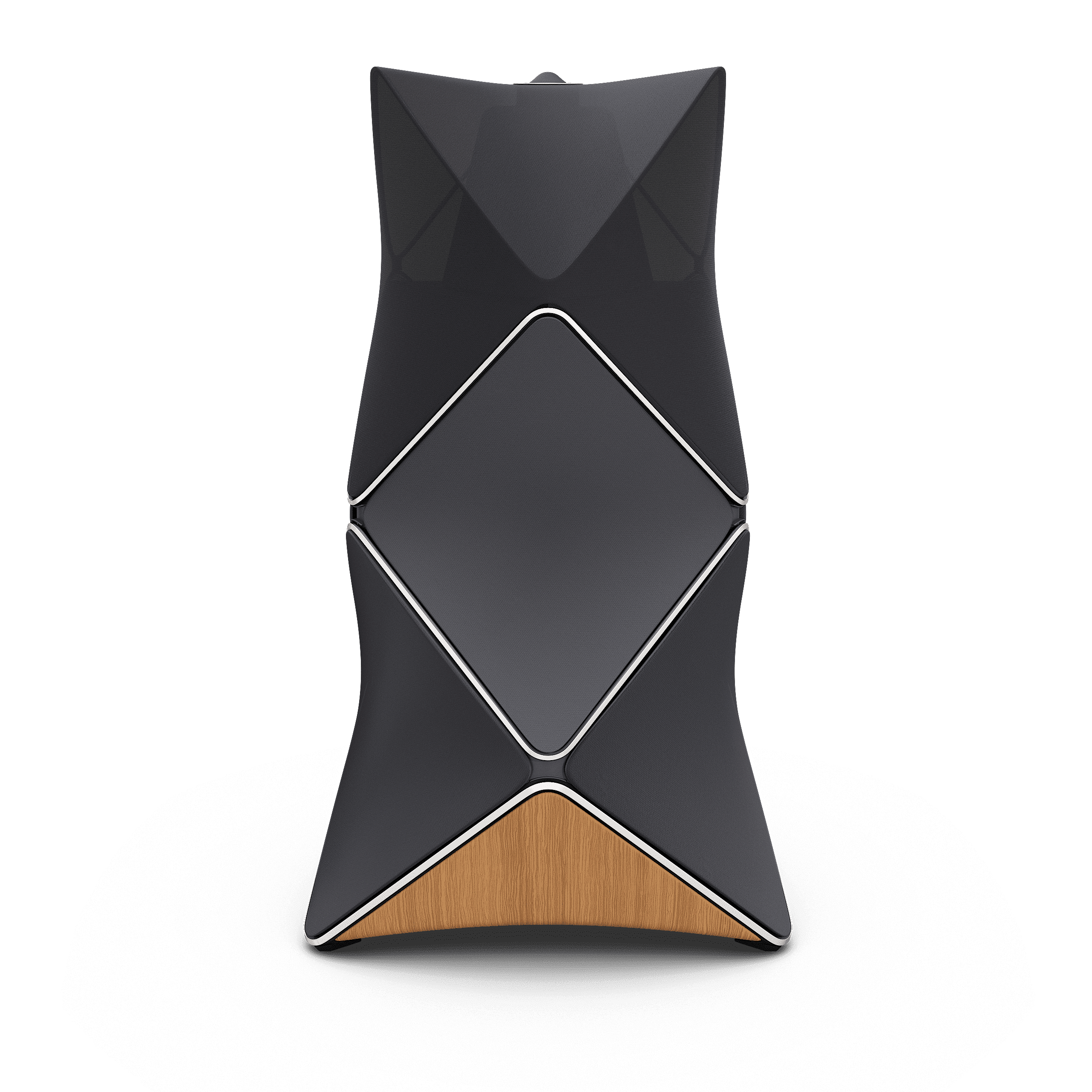 BeoLab90 Grey Silver/Oak