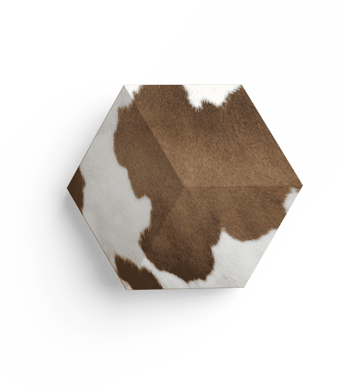 B&O BeoSound Shape Cover Skinniplay Cow