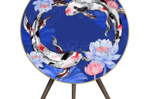 Koi