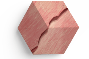 Wallcracker