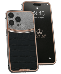 Apple iPhone - CAVIAR Two Kings White Rays Case