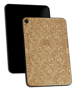 Apple iPad Gold