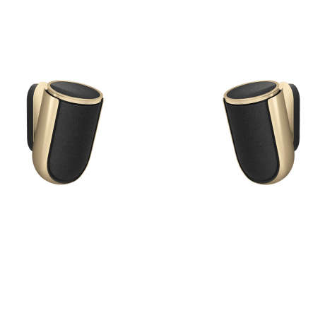 B&O ลำโพง - Beolab 8 Gold + Kvadart Cover Wall