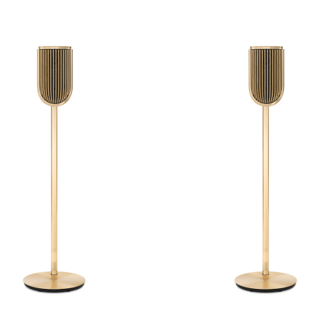 B&O ลำโพง - Beolab 8 Gold + Oak Cover Floor