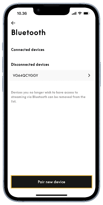 Beoplay Eleven