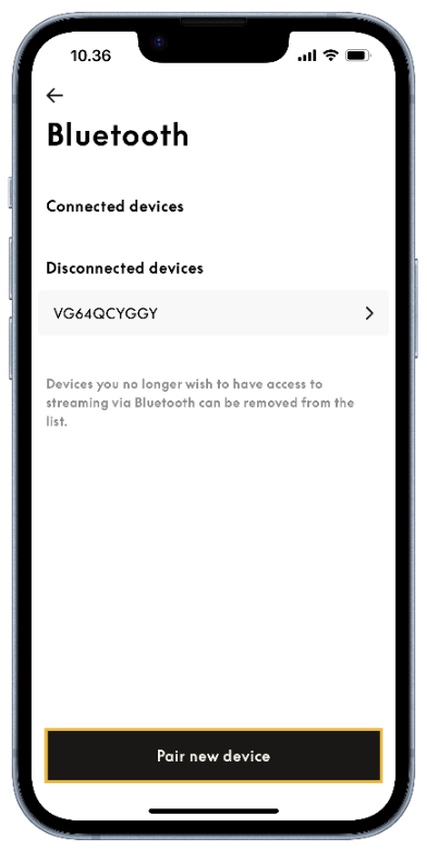 Beoplay Eleven
